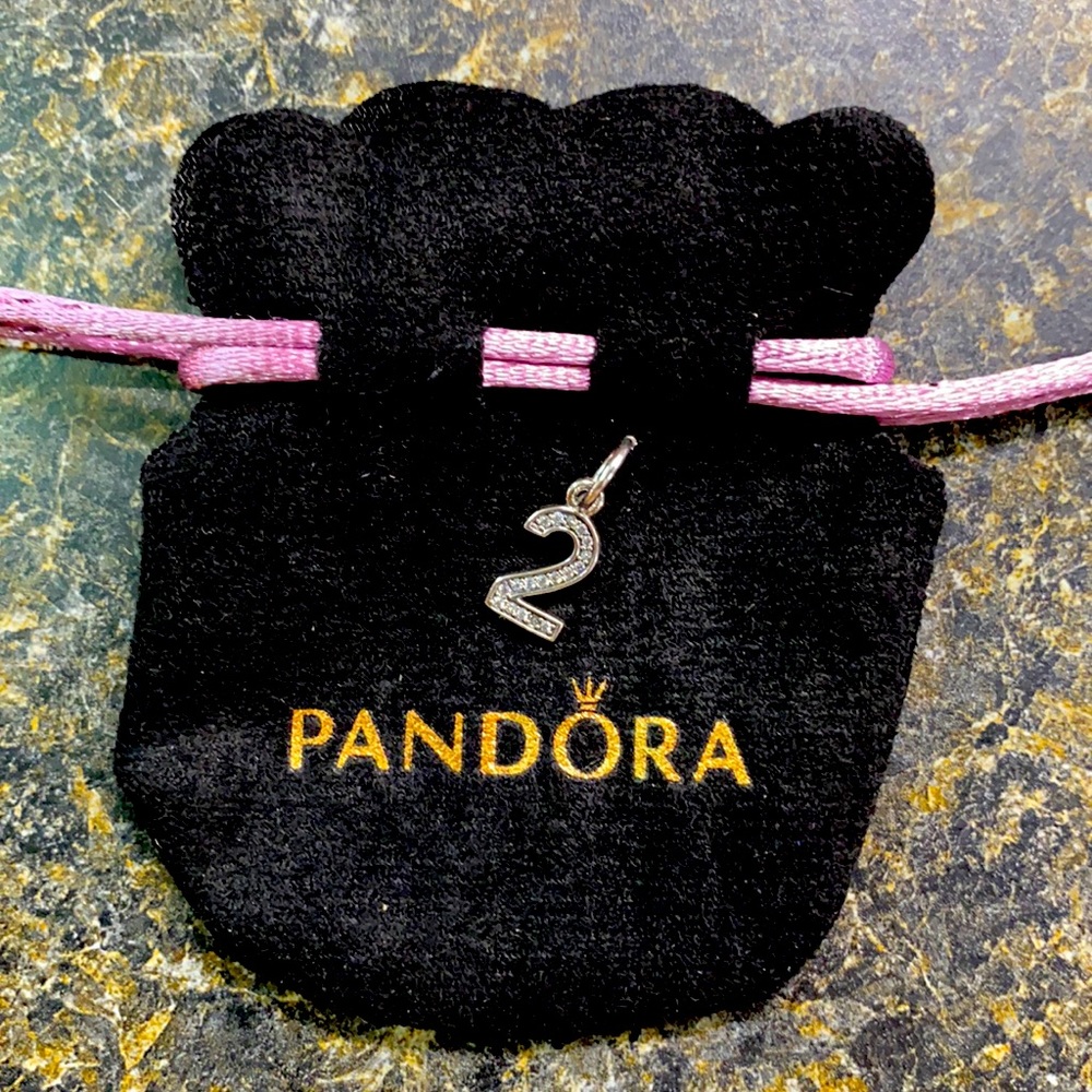 Pandora charm #2